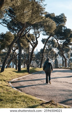 Person Walking Through a Scenic Park in Madrid on a Crisp Winter Morning Surrounded by Tall Pine Trees