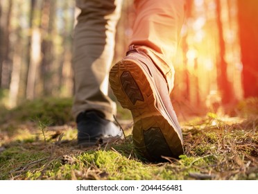 Person walking in the woods. Speed-hiking shoes closeup. - Shutterstock ID 2044456481