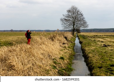 Person Watching Nature Through Binoculars. Canal Ditch With Water And Tree Landscape. Drained Wetland Pulwy. Porzadzie, Poland, Europe.