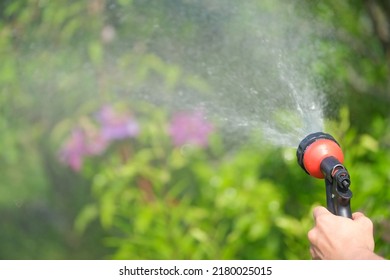 Person Is Watering Plants In The Garden From A Hose With A Spray Nozzle Close Up, Country Life