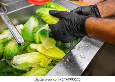 A person wearing black gloves washes fresh green lettuce leaves under running water in a stainless steel sink, emphasizing food safety and hygiene in food preparation. - Powered by Shutterstock