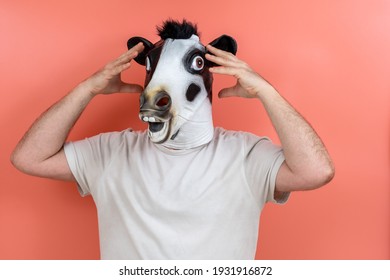 person wearing a cow mask with both hands on the head on a pink background