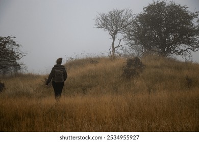 Person wearing a green jacket and backpack walks through tall grass in a foggy landscape. Sparse trees and misty hills create a serene atmosphere, evoking a sense of solitude and peaceful exploration. - Powered by Shutterstock