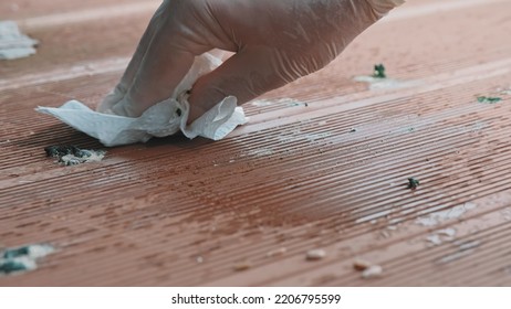 Person Wearing Protective Latex Gloves Cleaning Bird Poop Droppings From Composite Plank Floor On Balcony Using Paper Towel