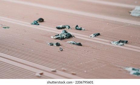 Person Wearing Protective Latex Gloves Cleaning Bird Poop Droppings From Composite Plank Floor On Balcony Using Paper Towel