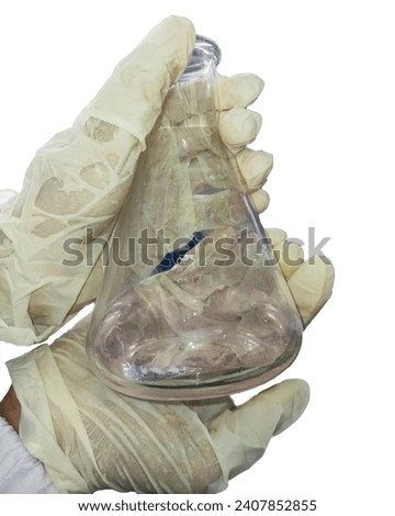 A person wearing white gloves holding a erlenmeyer flask. The image shows a pair of white gloves holding a clear erlenmeyer, the erlenmeyer is filled with a clear liquid.