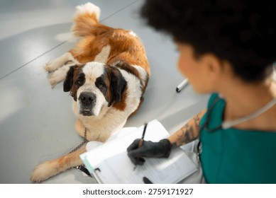 A person writes notes while sitting on the floor in a vet's office. A large dog sits nearby, looking up at the owner. The room has bright light and a clean floor.