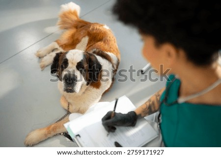 A person writes notes while sitting on the floor in a vet's office. A large dog sits nearby, looking up at the owner. The room has bright light and a clean floor.