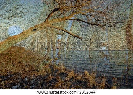 Similar – Foto Bild Am See Umwelt Natur