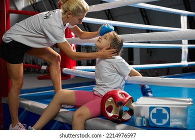 Personal Coach, Team Trainer Provides First Aid To An Athlete With Head Injury. Boxing Training In The Gym. Concept Of Sport, Health, Care, Assistance And Competition