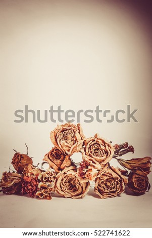 Similar – Autumn flowers and leaves decoration with bunch of flowers