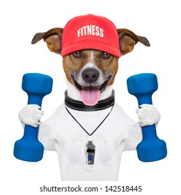 personal trainer dog with blue dumbbells and red cap