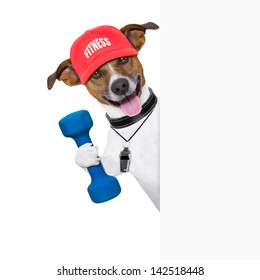 personal  trainer dog with dumbbell and banner