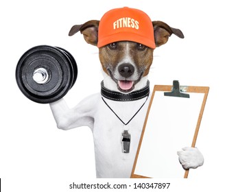 personal  trainer dog with dumbbells and a clipboard