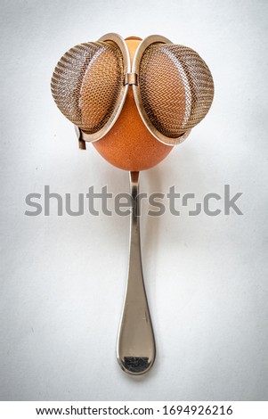 Personification of a fly with an egg