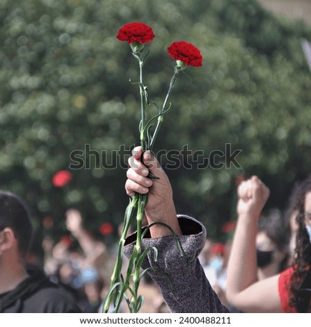 A person's hand in the air holding two carnations in the middle of a crowd