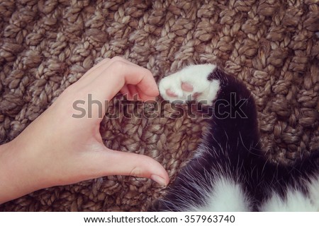 Person's hand and a cat's paw making a heart shape.  Instagram toned effect. Focus on fingertips
