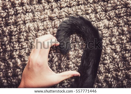 Person's hand and a cat's tail making a heart shape.  Instagram 