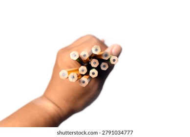 a person's hand holding a bundle of unsharpened colored pencils