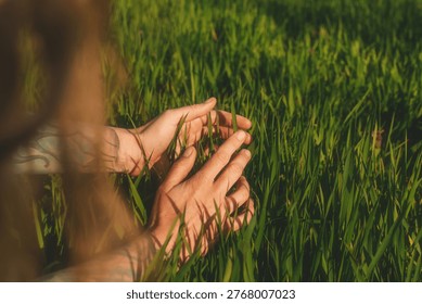 Persons hands gently touching texture of fresh spring grass at sunset. Concept of Earth day, ecological conservation, deep connection with nature, sustainable and healthy living.