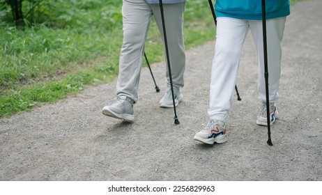 Persons walk scandinavian trekking sticks. People hold nordic poles in green forest park. Pair sport stroll. Man womans sneakers shoes close up. Hiker couple walking training. Nordic feet step closeup - Shutterstock ID 2256829963
