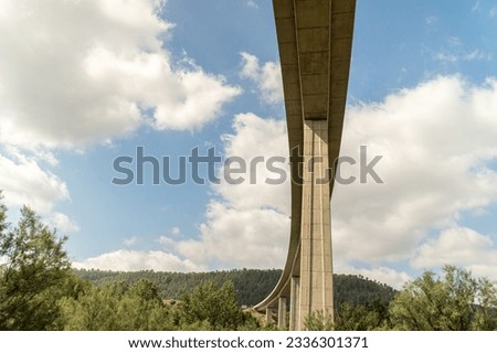 Perspective, bottom view to the pillars of a concrete bridge
