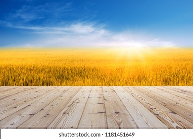 Perspective brown wooden board empty table in front of paddy field or rice field in morning time with sunlight on background - can be used for display or montage your products.Mock up for display of p