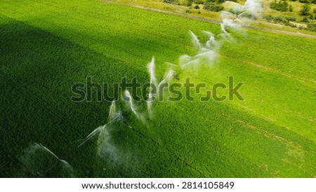 perspective of a center pivot irrigation machine actively spraying water over rows of green crops in a vibrant agricultural field.