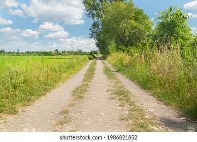 Perspective of a country road in the countryside outside Milan, Italy. Green plants on the right, green meadows on the left. The skyscrapers of the citylife district are visible in the distance.