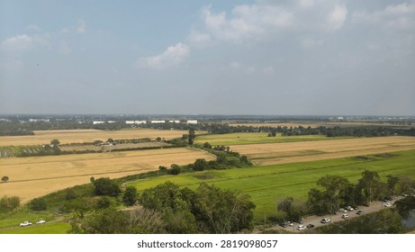 ​Aerial perspective of expansive rural paddy fields and agricultural farmland stretching toward the horizon under fluffy white clouds.