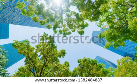 perspective exterior pattern blue glass wall modern buildings with green tree leaves 