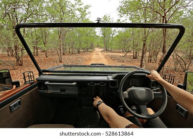 Perspective From Inside A Game Ranger Vehicle Driving 