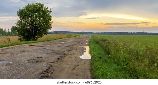 Perspective Road On A Foggy Morning In The Russian Back Country