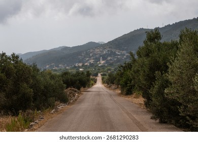 A perspective shot of an empty road surrounded by trees in the background of a townscape.