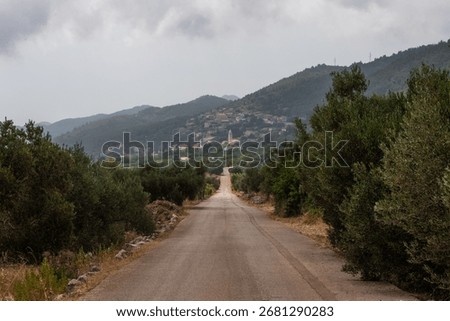 A perspective shot of an empty road surrounded by trees in the background of a townscape.