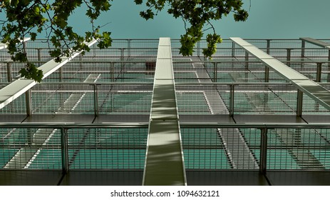 perspective sky tree lines architecture
            