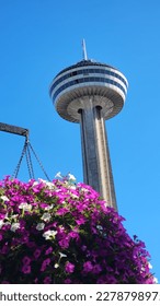 Perspective of the Tower from the flowers. 