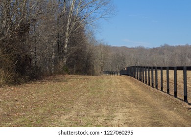 Perspective View Of Black Fencing By A Treeline, Winter, Horizontal Aspect