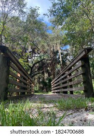 Perspective view of a bridge in the forest