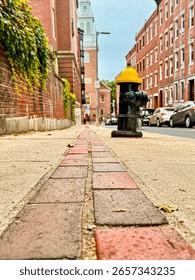 Perspective view of fire hydrant and brick path in urban street