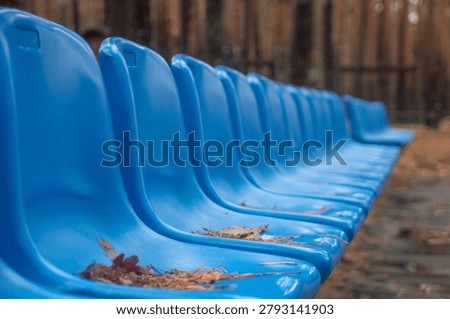 Perspective view of a long row of blue stadium chairs located outdoors in a forest park. The seats are vacant and covered with fallen dry leaves, creating a melancholic atmosphere of an ended season or abandoned event against a blurred forest.