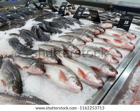 Perspective view of many raw fish on crushed ice bed in the fishmarket . Fishes background.