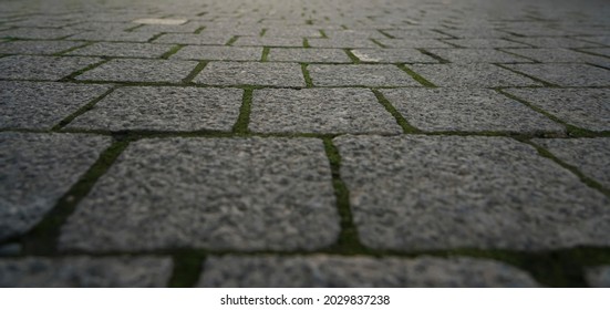 Perspective View Of Monotone Gray Brick Stone On The Ground For Street Road. Sidewalk, Driveway, Pavers, Pavement In Vintage Design Flooring Square Pattern Texture Background