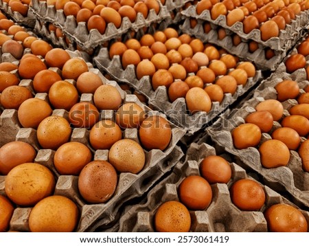 A perspective view of multiple trays filled with fresh brown eggs, showcasing organic produce and efficient packaging. Suitable for commercial use in food supply chain, retail, or agriculture