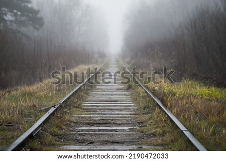 Perspective view of an old abandoned railway in a foggy forest, abstract transportation background photo