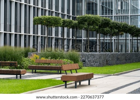 Perspective view of paved path with green lawn, decorative grass and modern wooden benches in front of gabion tree tubs made of wire and filled with stones in recreation area near modern office build