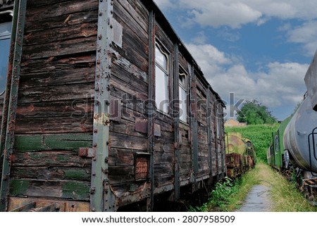 A perspective view of several ancient weathered wooden train boxcars standing in a line on a path surrounded by green grass and other trains.