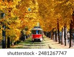 Perspective view of a tree tunnel with a retro, nostalgic streetcar running on the tramway track under bright yellow foliage on a sunny autumn day, in Prague City, Czech Republic, Europe