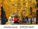 Perspective view of a tree tunnel with a retro, nostalgic streetcar running on the tramway track under the bright yellow foliage on a sunny autumn day, in Prague City, Czech Republic, Europe