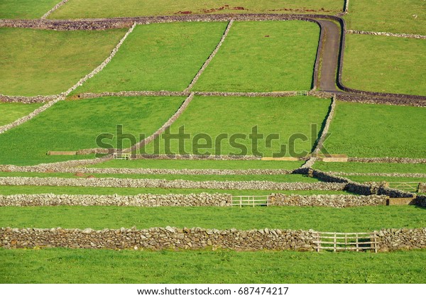 Perspective view of valley with farm\
fields and stone fences in the Terceira island in\
Azores